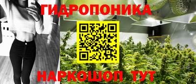 винт Шелехов