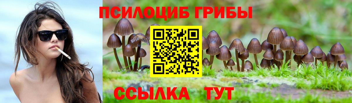 Бийск  Псилоцибиновые грибы прущие грибы  купить наркоту  Галлюциногенные грибы Magic Shrooms  Вход с VPN 
